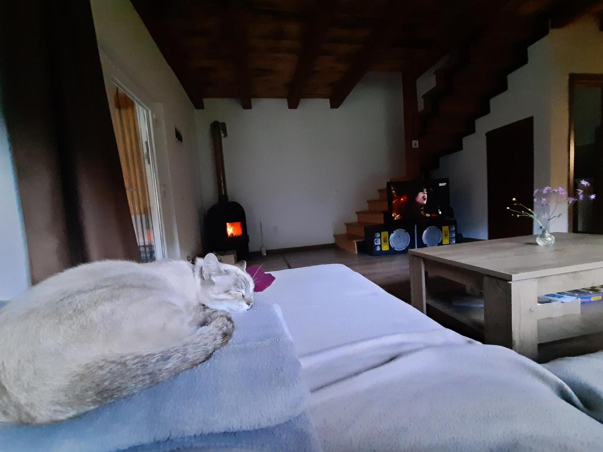 Mountain Cozy Home Sub Cetate Екстер'єр фото